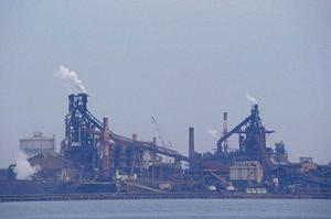 家庭の味をグレードアップ！シーズニング活用術と選び方完全ガイド